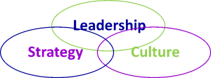 OC Alignment - Leadership Strategy and Culture